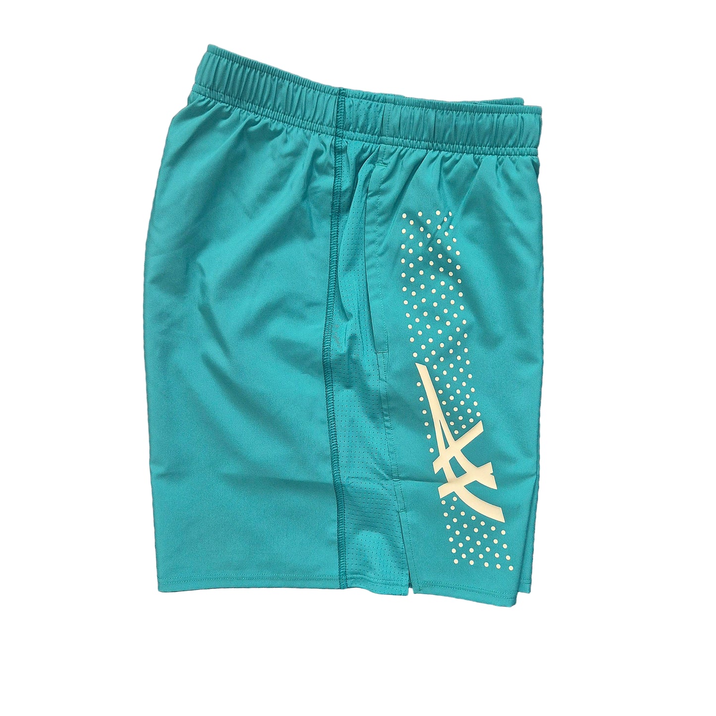 Asics Seamless Tshirt & Icon Shorts Set (Birch Oasis Green/Rainy Lake)