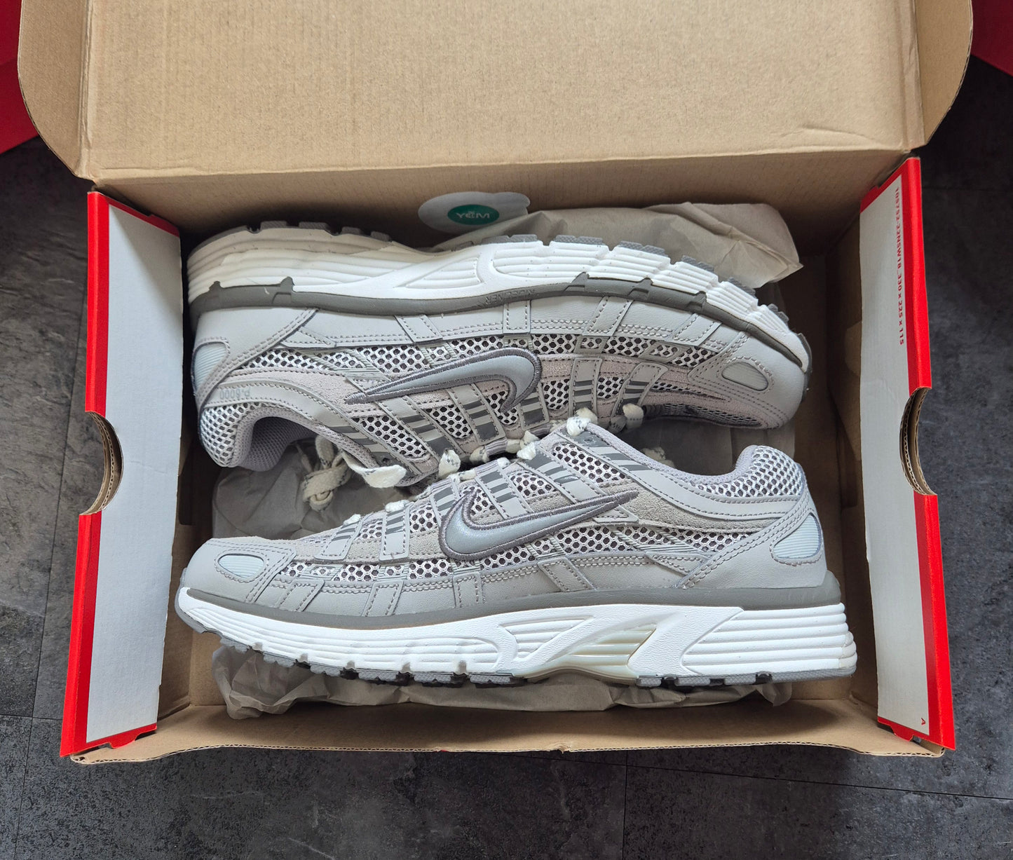 NIKE P-6000 IRON ORE