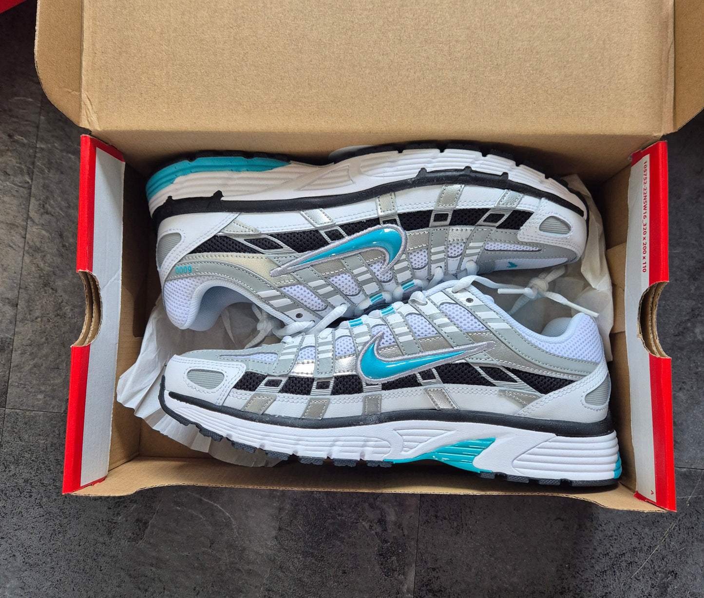 NIKE P-6000 DUSTY CACTUS