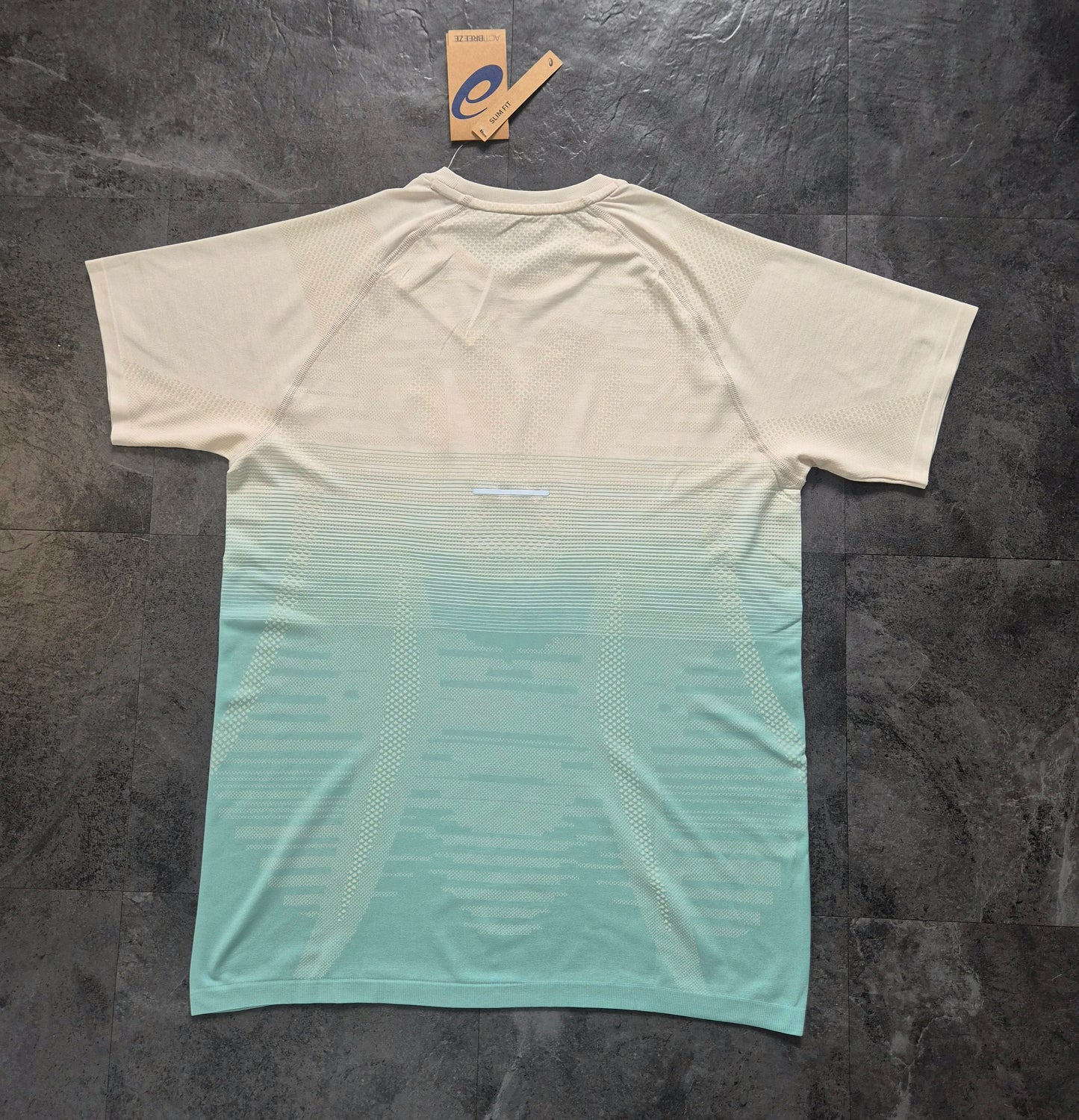 Asics Seamless Tshirt & Icon Shorts Set (Birch Oasis Green/Rainy Lake)
