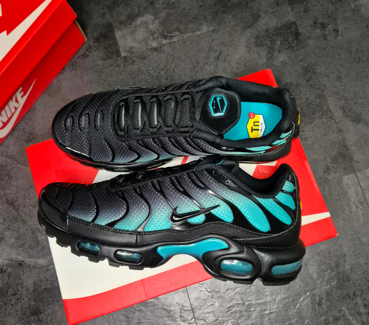 Nike Airmax Plus Tn Aurora Fades (dusty cactus)