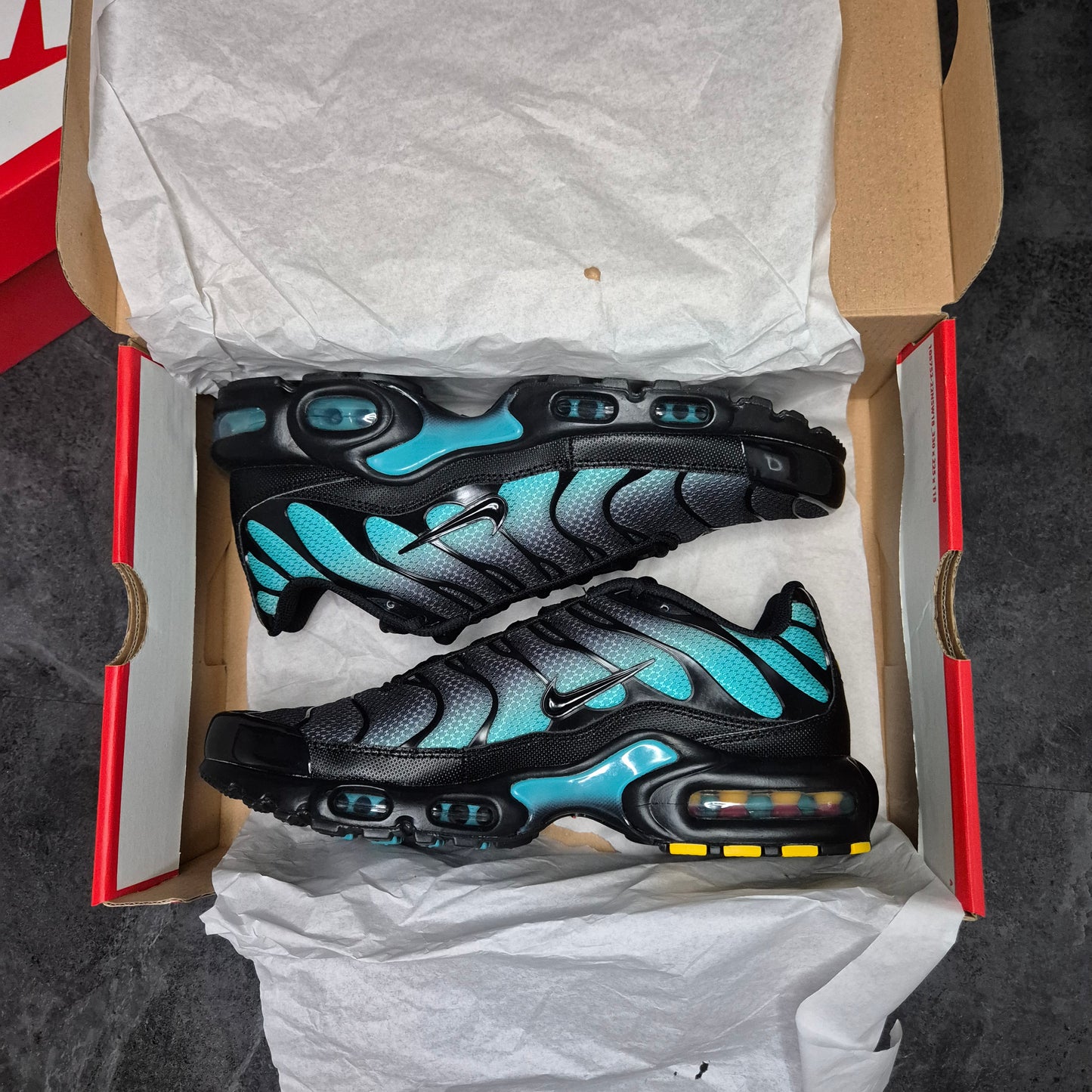 Nike Airmax Plus Tn Aurora Fades (dusty cactus)
