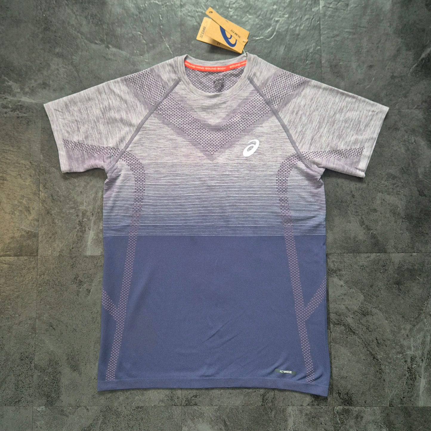 Asics Seamless Tshirt & 2in1 Shorts Set (Lavender Grey/Indigo Fog)