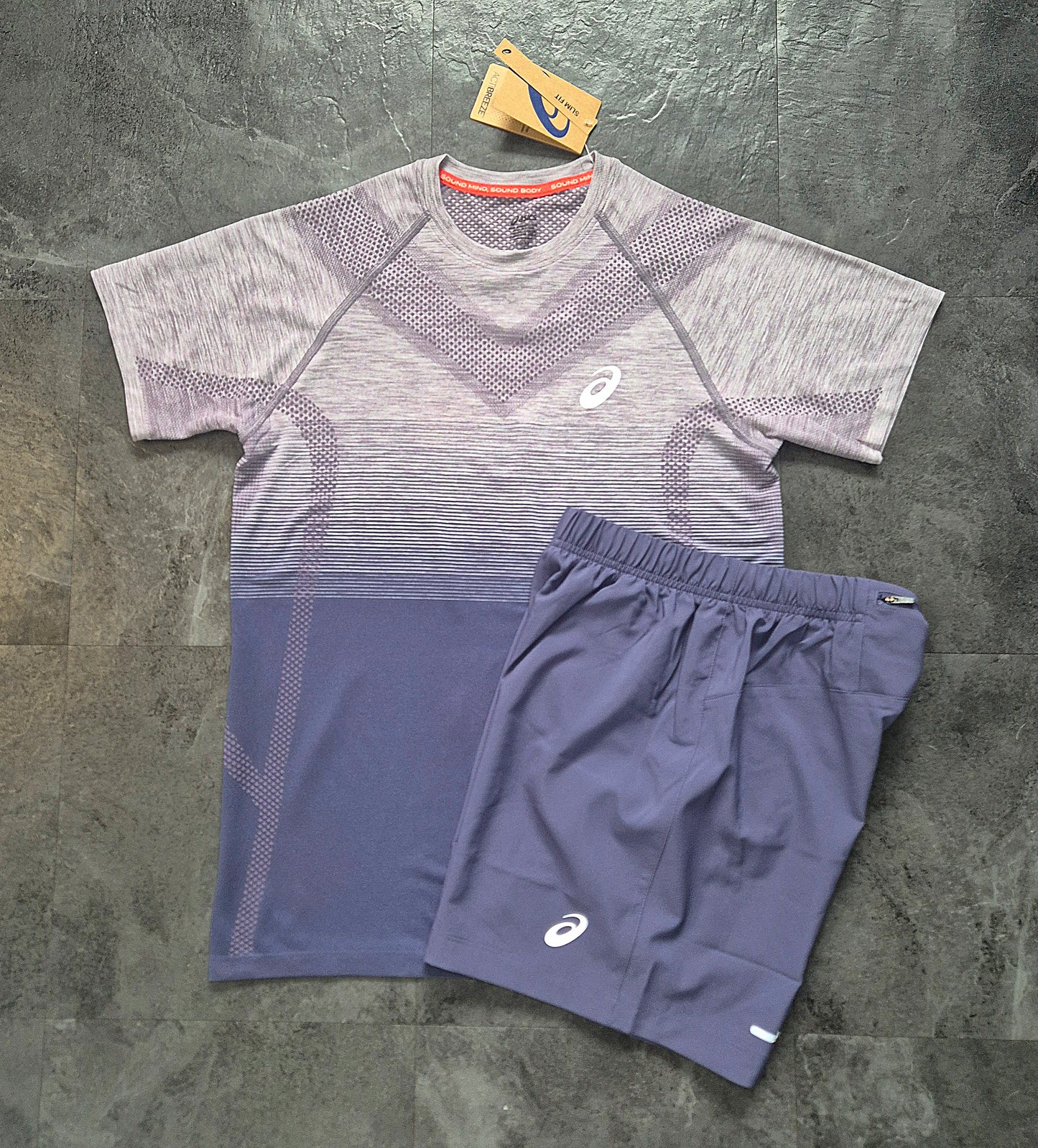 Asics Seamless Tshirt & 2in1 Shorts Set (Lavender Grey/Indigo Fog)