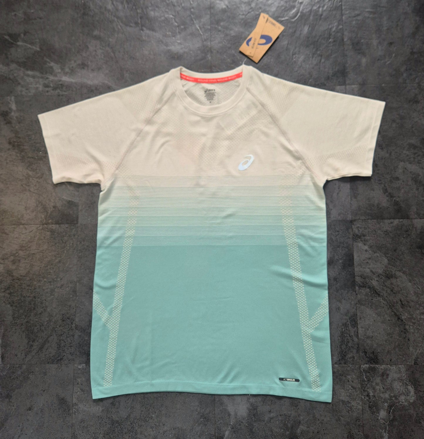 Asics Seamless Tshirt & Icon Shorts Set (Birch Oasis Green/Rainy Lake)